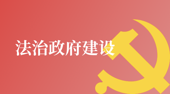 法治政府建設(shè)